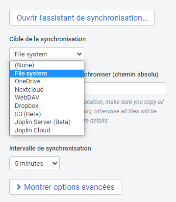 Options de synchronisation de Joplin