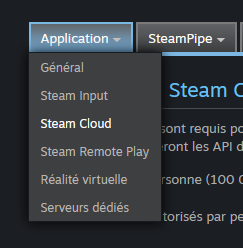 Configuration dans Steamworks - Application - Steam Cloud
